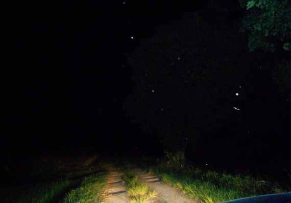 d0351435_11354983.jpg