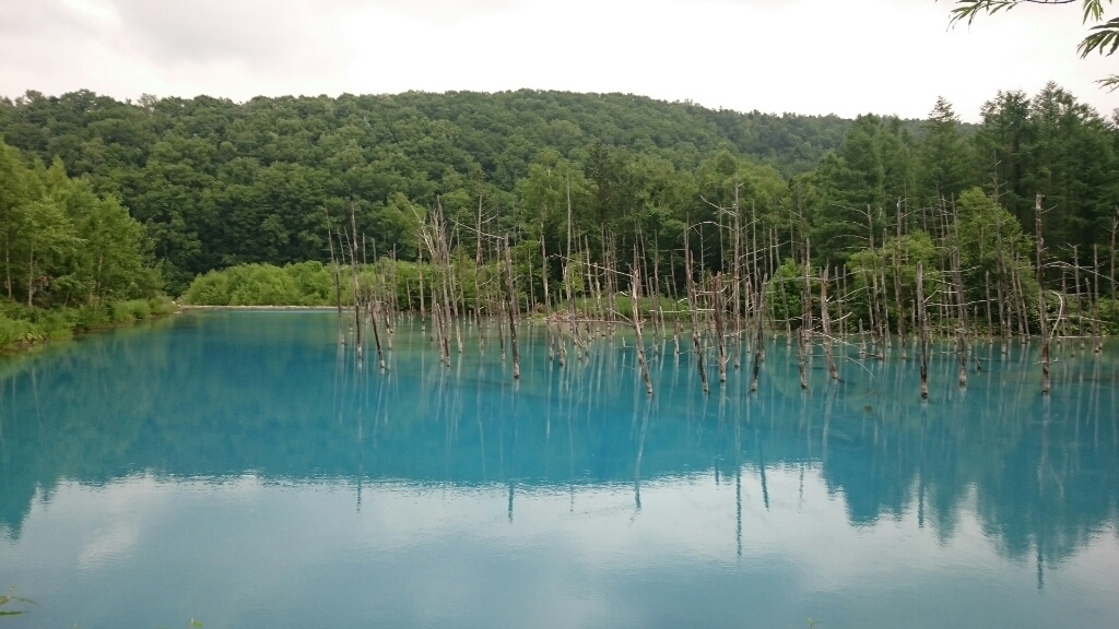 a0002447_19442325.jpg