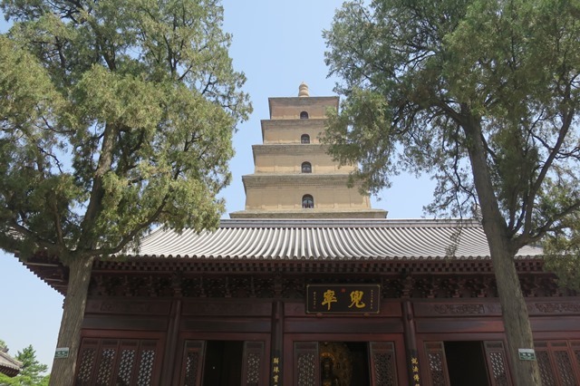 f0202151_13064236.jpg