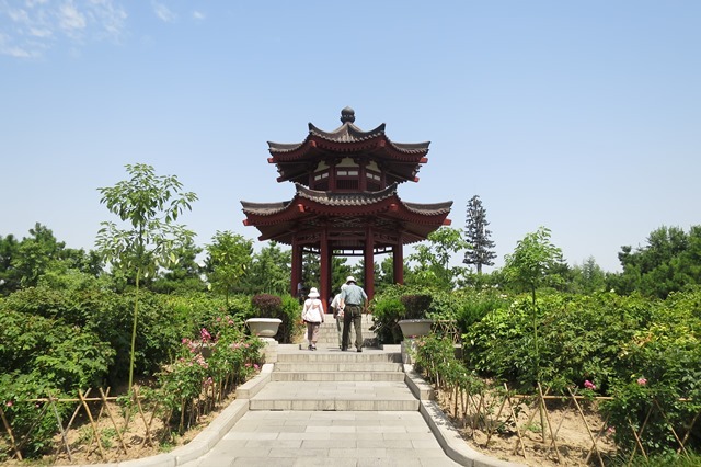 f0202151_13562811.jpg
