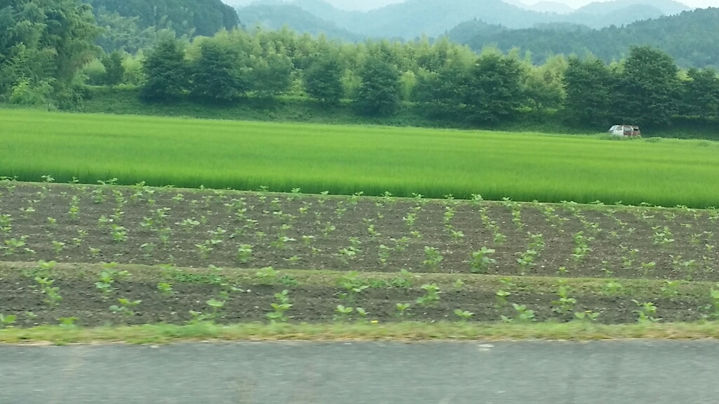 d0261061_18130951.jpg