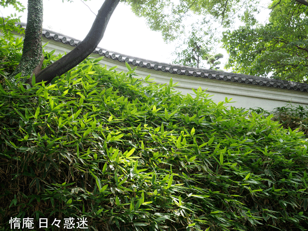 e0346064_14244929.gif