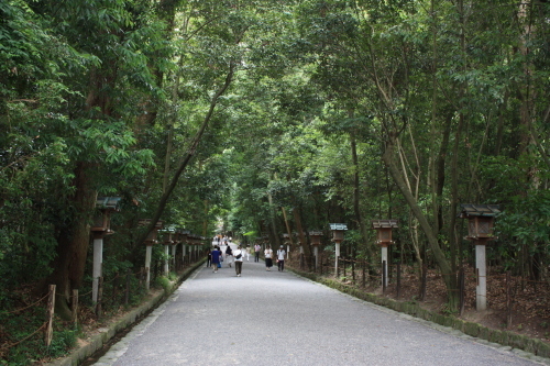 a0023466_20455532.jpg