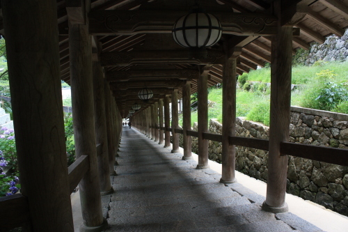 a0023466_20492644.jpg