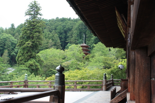 a0023466_20501794.jpg