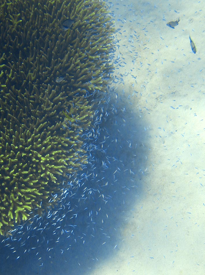 c0045966_1543542.jpg