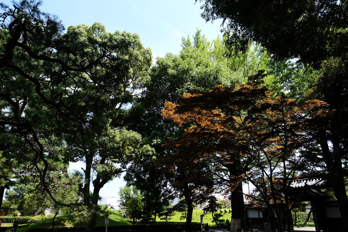 c0084666_09413723.jpg