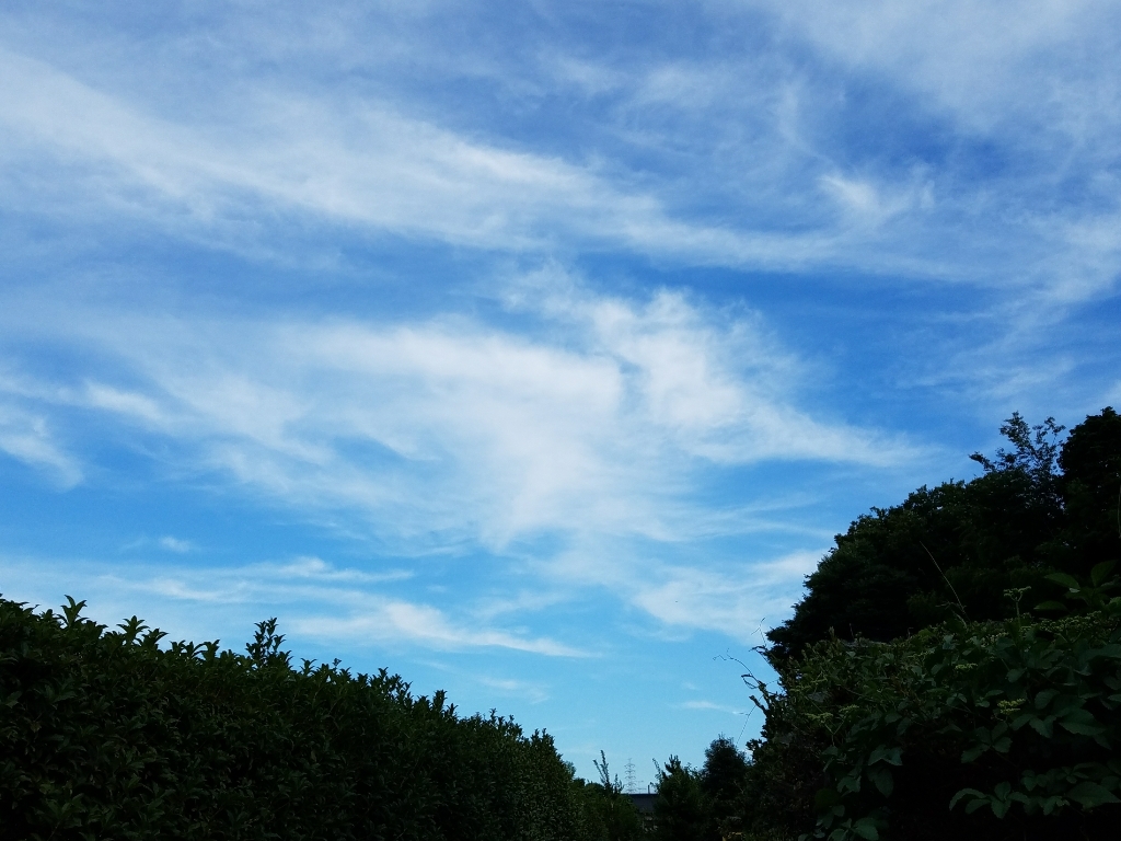 e0351371_23000373.jpg