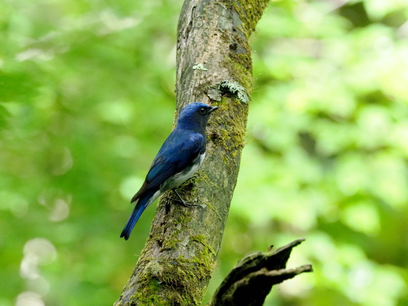f0372177_15202015.jpg