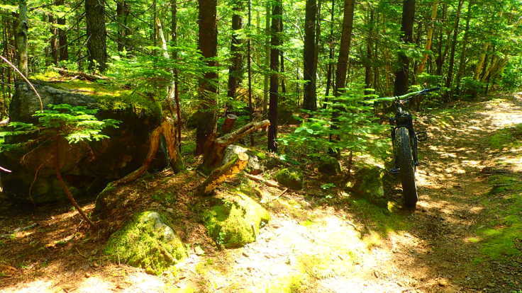 a0242984_03002581.jpg
