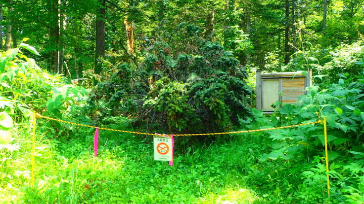 a0242984_03061883.jpg