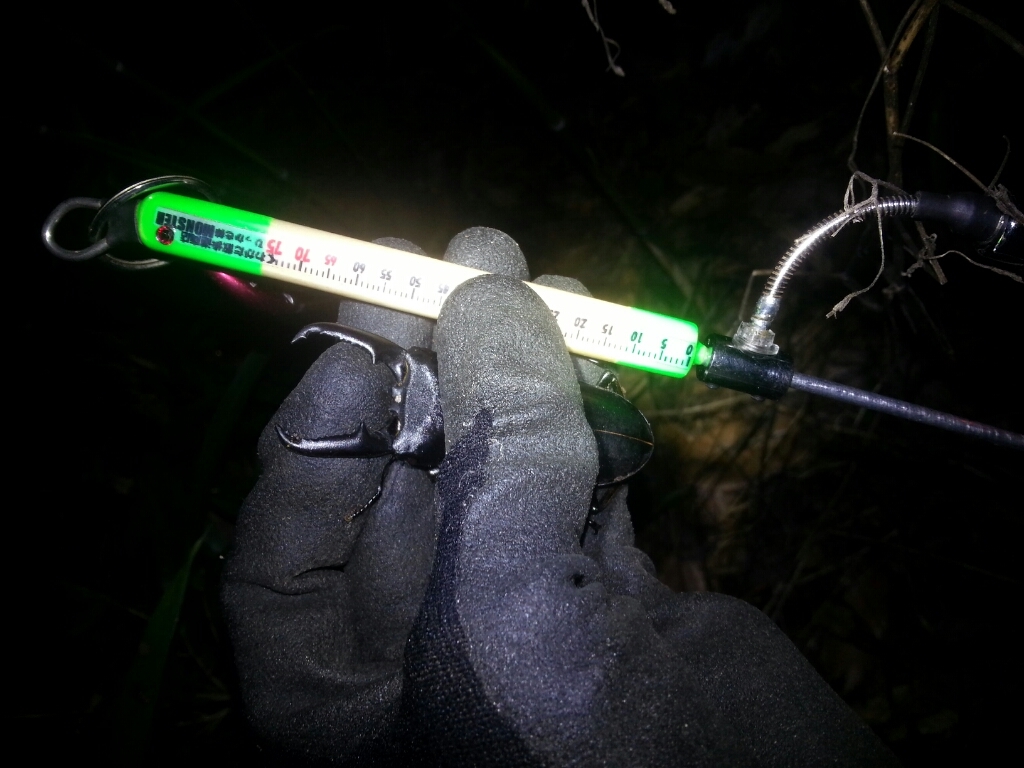 f0183484_06315231.jpg