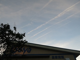 e0130185_1933442.jpg