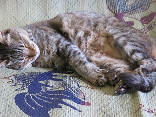 e0130185_21233273.jpg