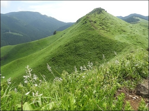 f0357487_14342819.jpg