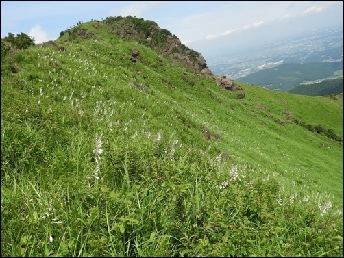 f0357487_14351625.jpg