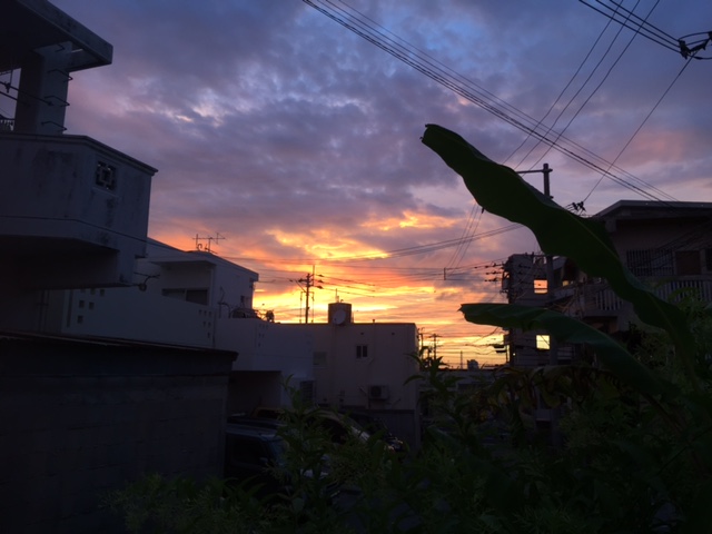c0064389_19451395.jpg