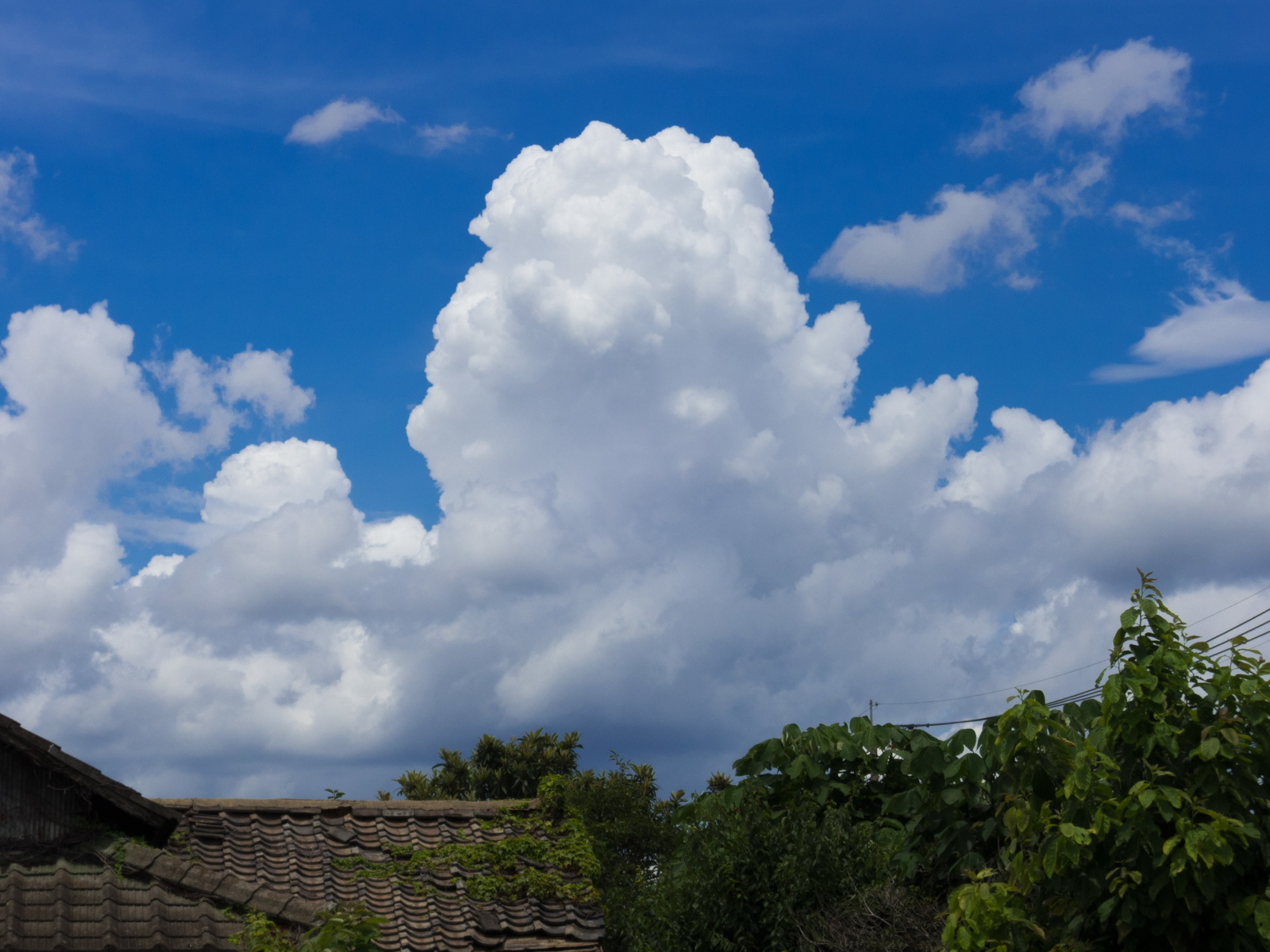 f0083903_19372055.jpg