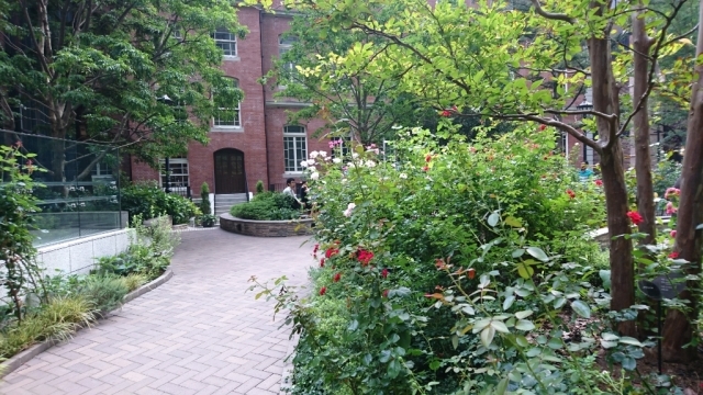 b0365305_06575274.jpg