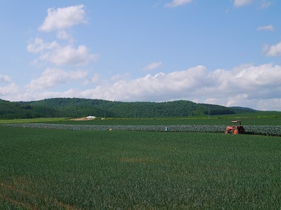 c0227720_22490931.jpg
