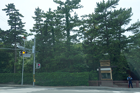 f0097523_20504300.jpg