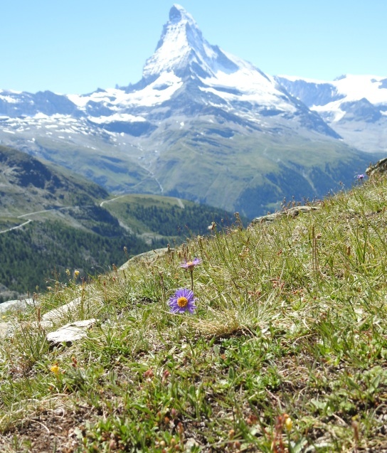 a0248728_22191768.jpg