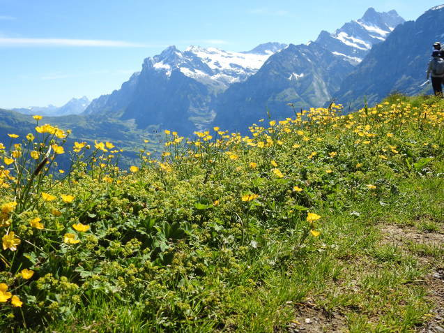 a0248728_23043403.jpg