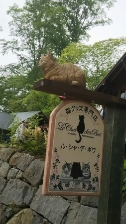 f0114128_18205743.jpg