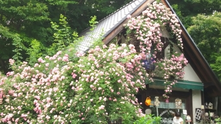 f0114128_18212233.jpg