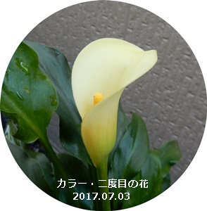 e0033229_20474157.jpg