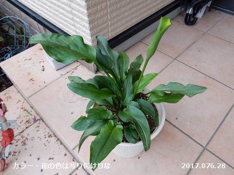 e0033229_2047515.jpg