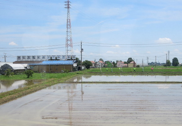b0314633_22254658.jpg