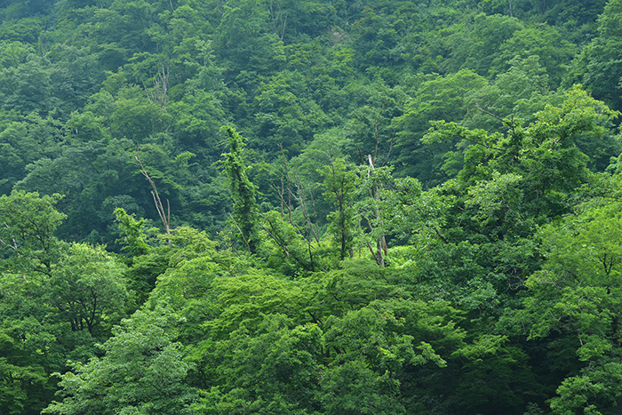 c0172234_22340927.jpg