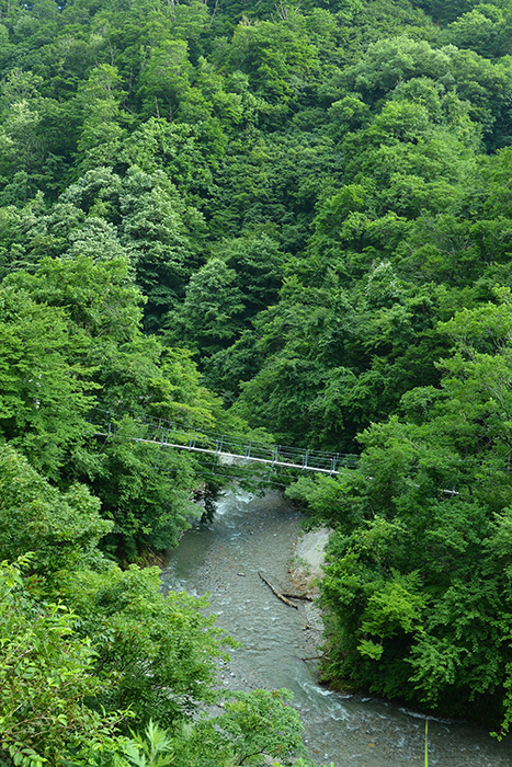 c0172234_22341591.jpg
