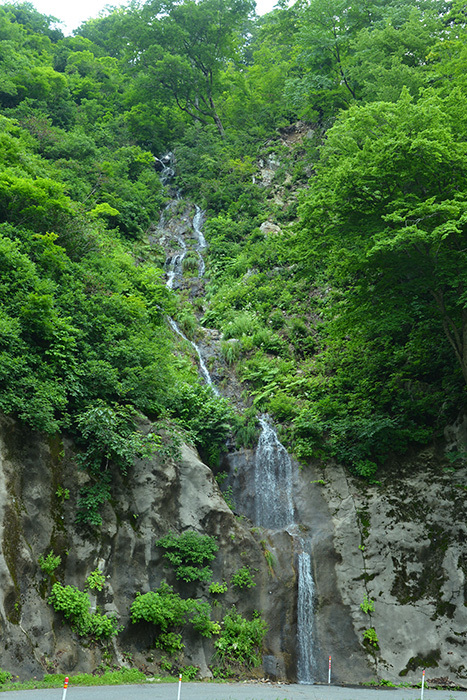 c0172234_22343233.jpg