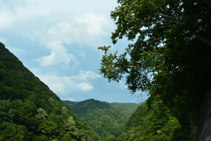 c0172234_22345914.jpg