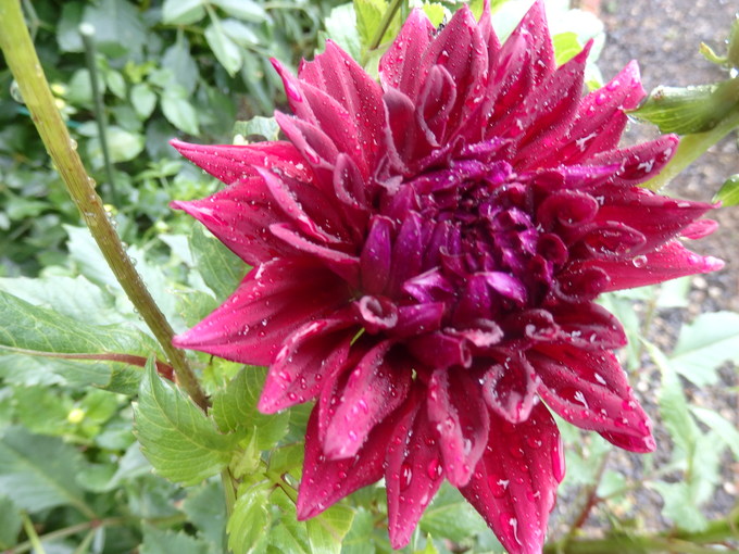 a0054240_2126105.jpg