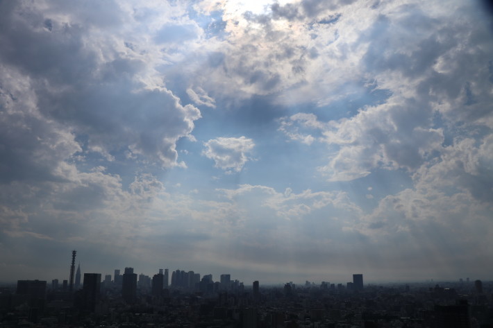 b0190666_23453821.jpg