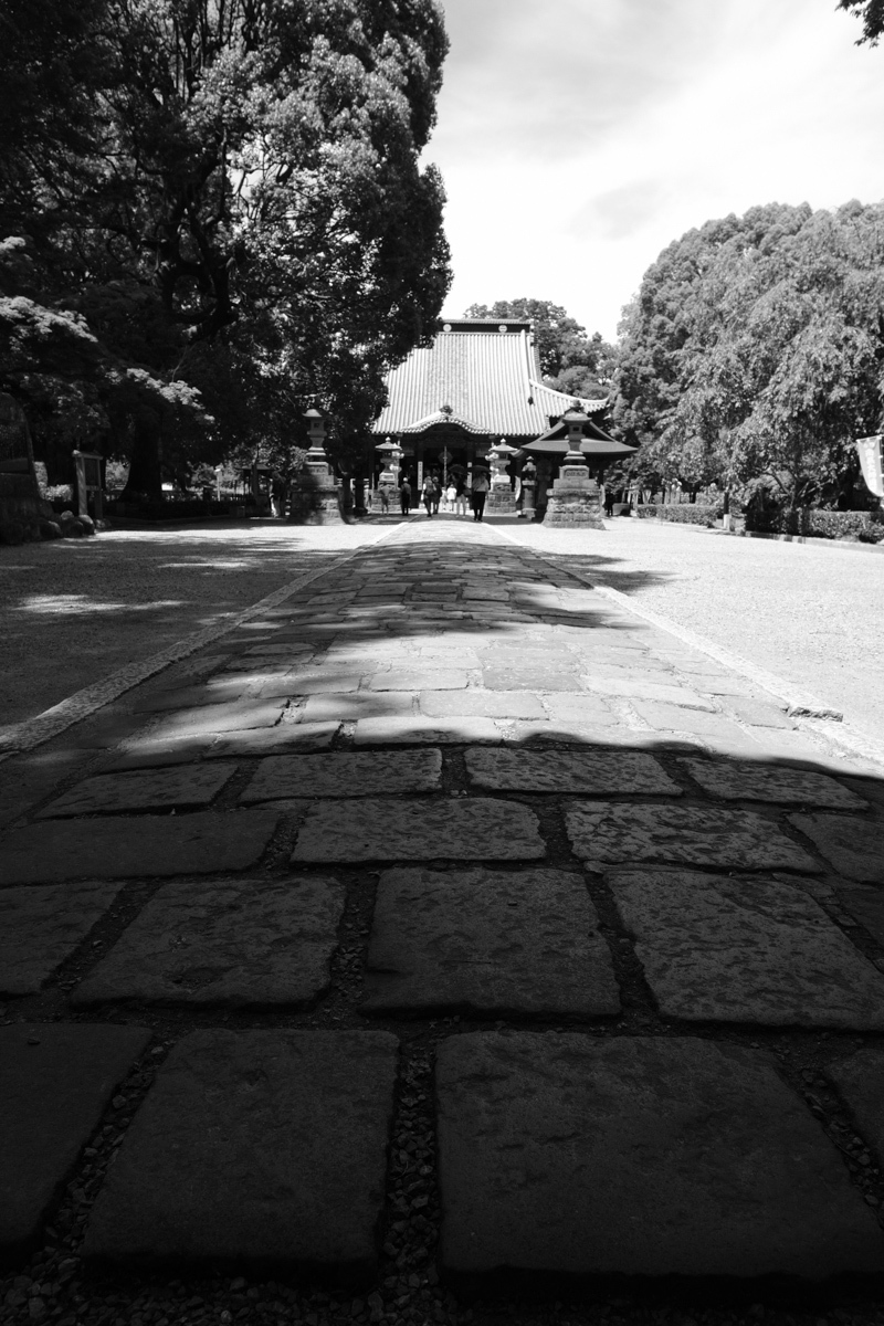c0084666_19385447.jpg