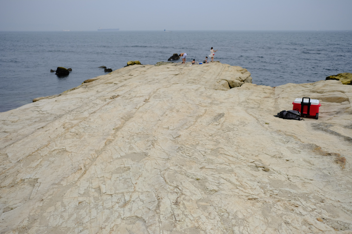 c0084666_22533831.jpg