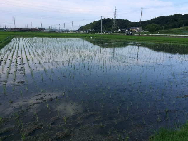 c0068168_12593920.jpg