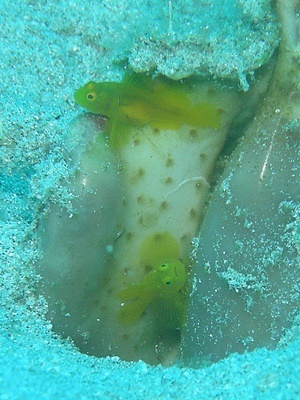 b0033573_20013457.jpg
