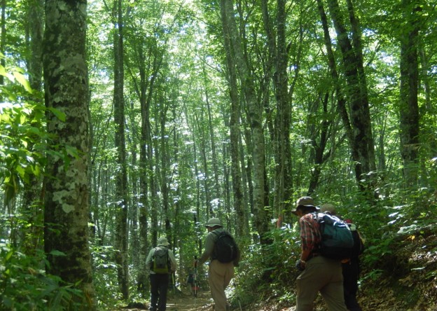 c0144185_21224684.jpg