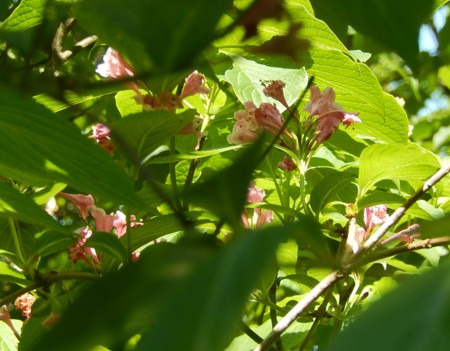c0144185_21443328.jpg