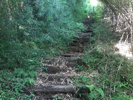 f0202990_23312918.jpg