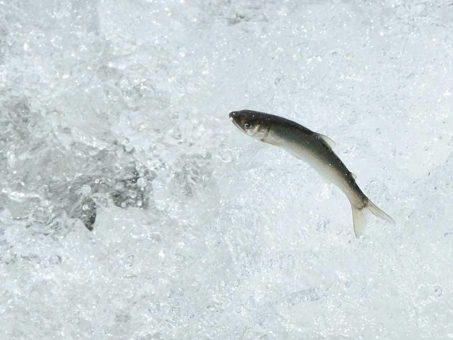 a0143491_22160330.jpg