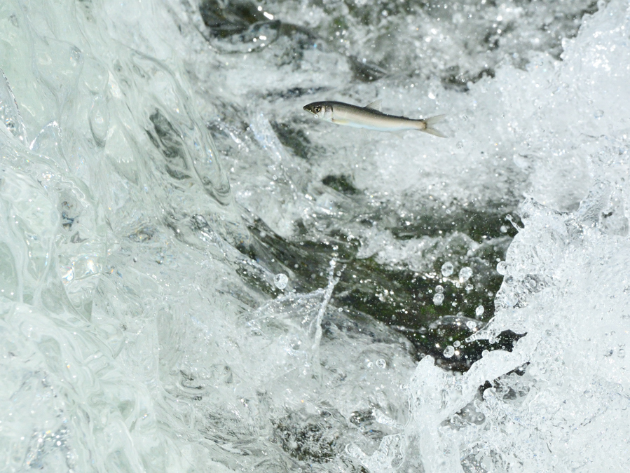 a0143491_22171403.jpg