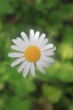 e0354596_19090363.jpg