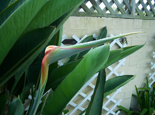 f0346196_20005456.jpg