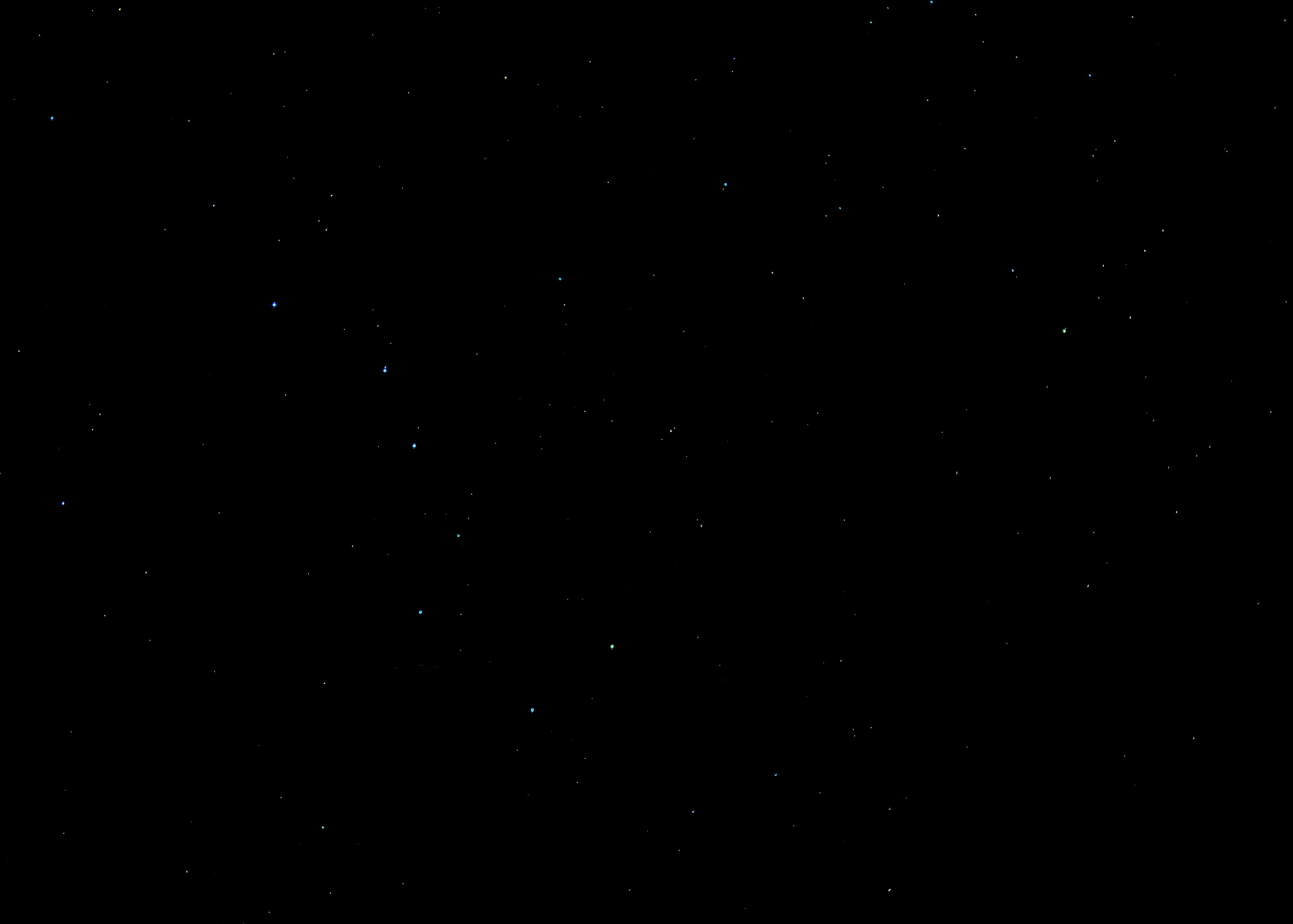 a0214206_10372364.jpg